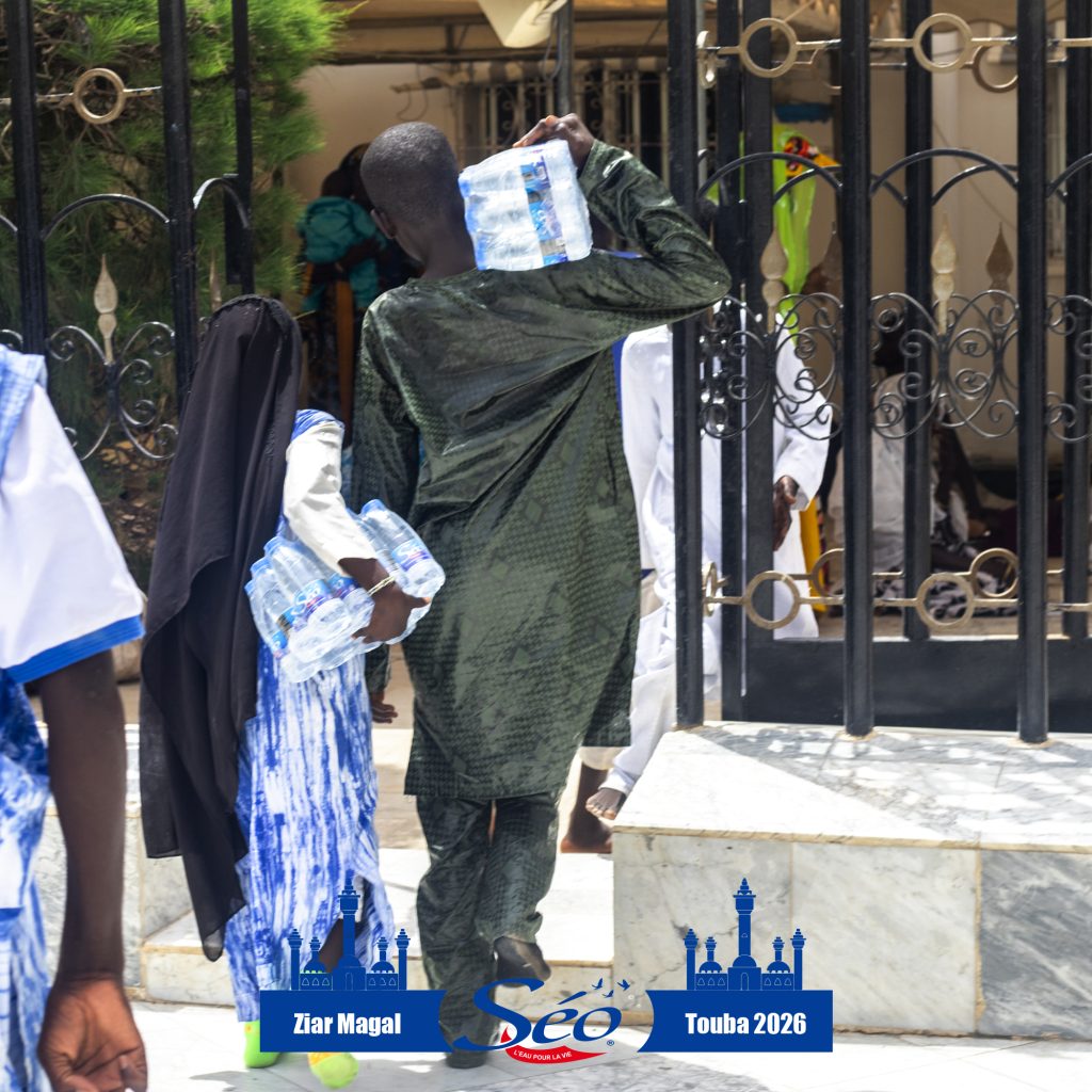 #TOUBA-tofs-for-website.jpg